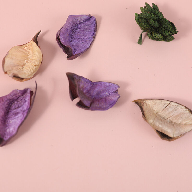 Aromaterapia fiori secchi-lavanda viola