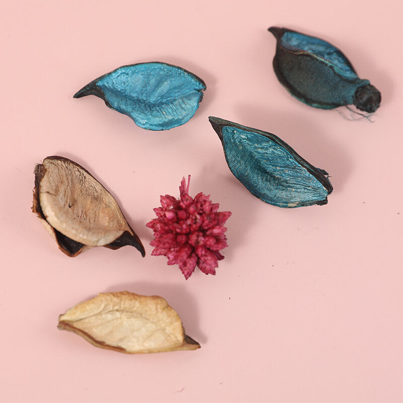 Aromaterapia fiore secco-oceano blu