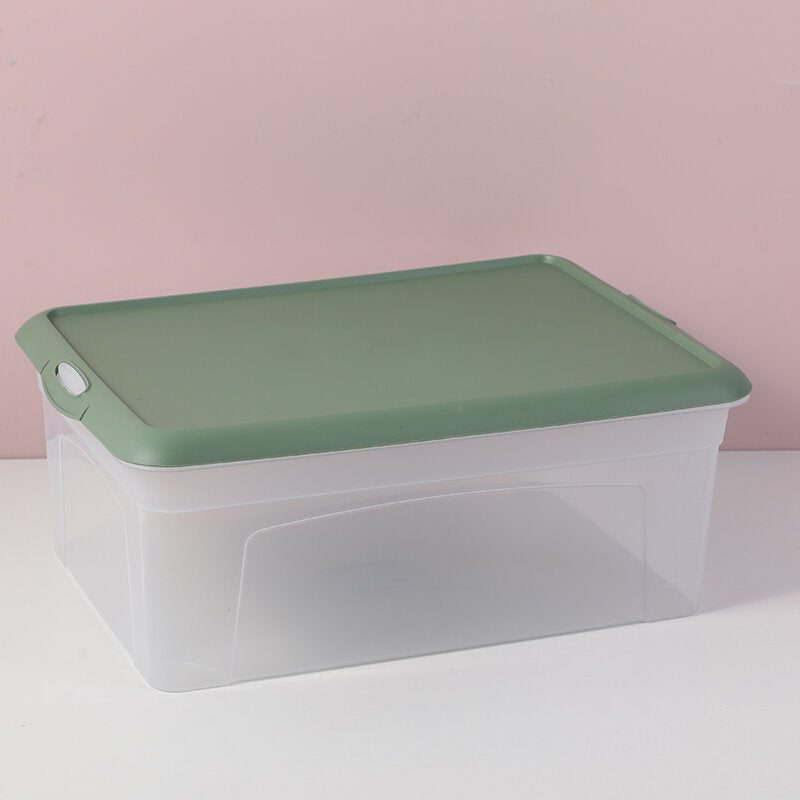 Ampio contenitore trasparente 1PZ