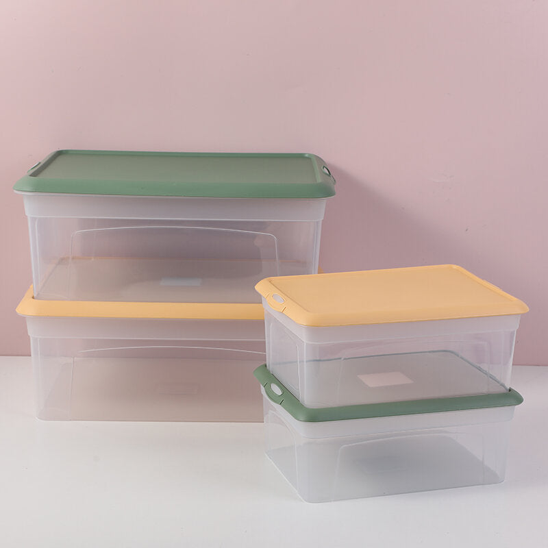 Piccolo contenitore trasparente 1PZ