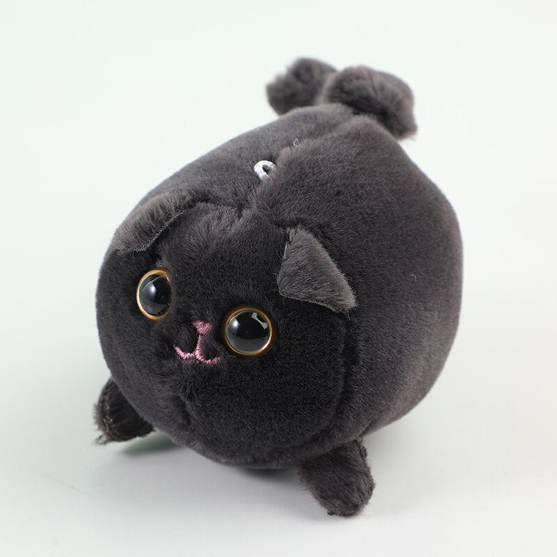 Gatto nero scodinzolante-Q213