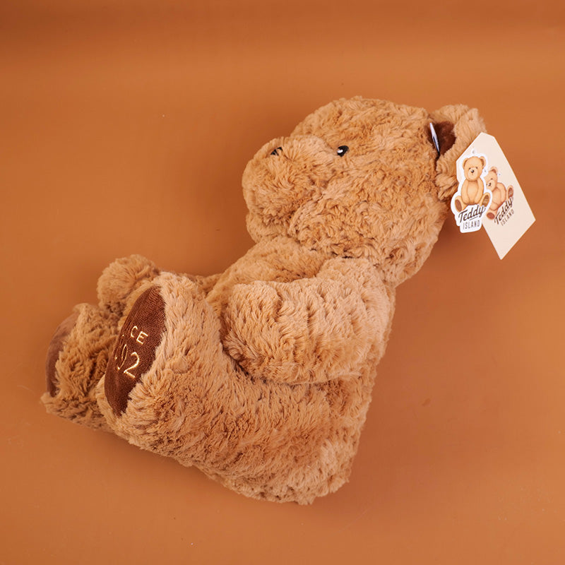 Serie TEDDY ISLAND bambola di peluche orso seduto di colore scuro-35 cm