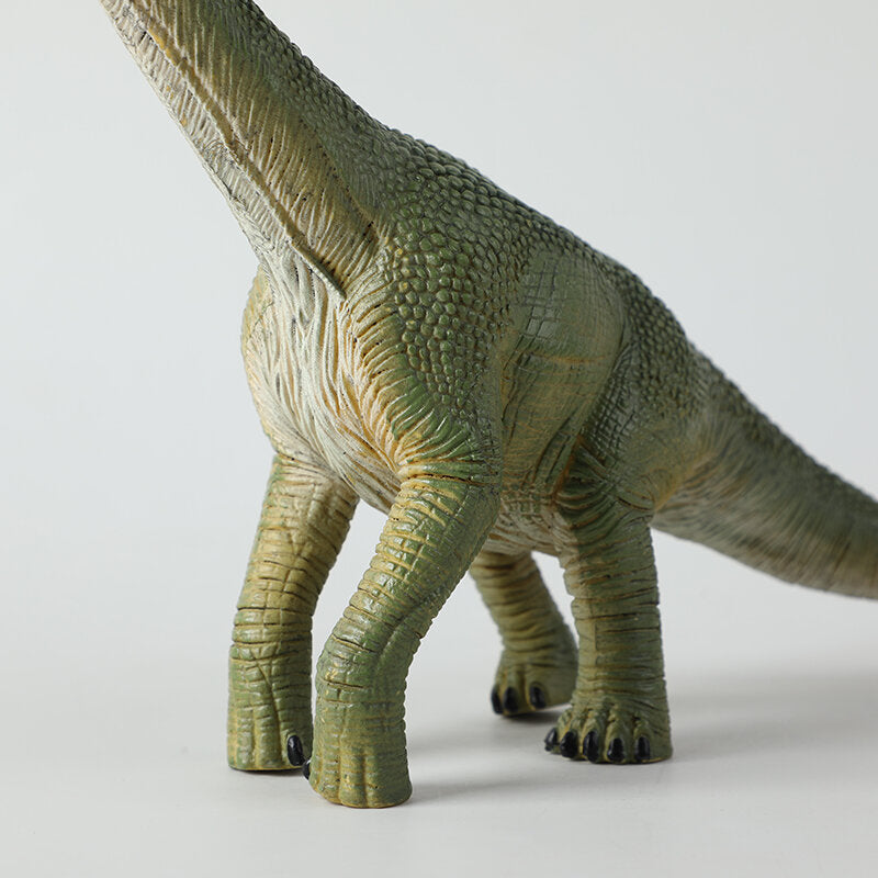 Grande modello di simulazione di Brachiosauro giocattolo