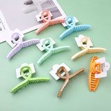 Pinza per Capelli in Acrilico Versatile-1pz