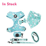 Piccolo cavallo da sogno verde set da 6 pezzi