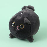 Gatto nero scodinzolante-Q213