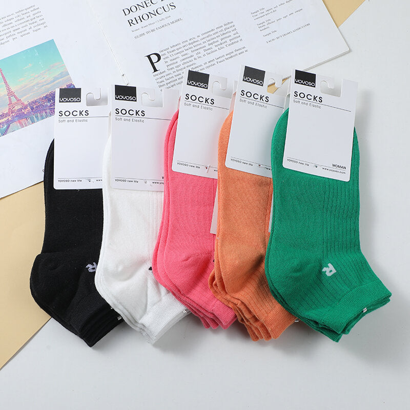 Semplice calze colorate da donna 2 paia di calzini alla caviglia