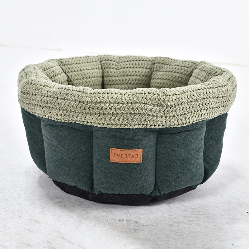 CUCCIA animale domestico verde