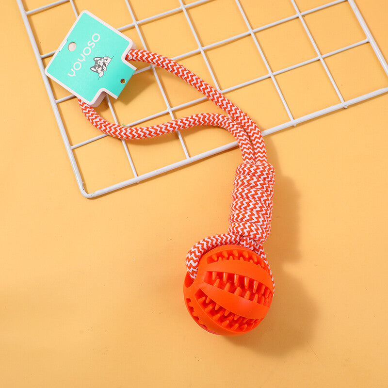 Palla per la pulizia dei denti di anguria grande con nodo per cani