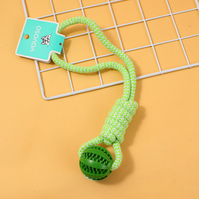 Palla per la pulizia dei denti a forma di anguria con nodo, giocattolo per cani