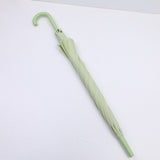 Ombrello ecologico colorato alla moda