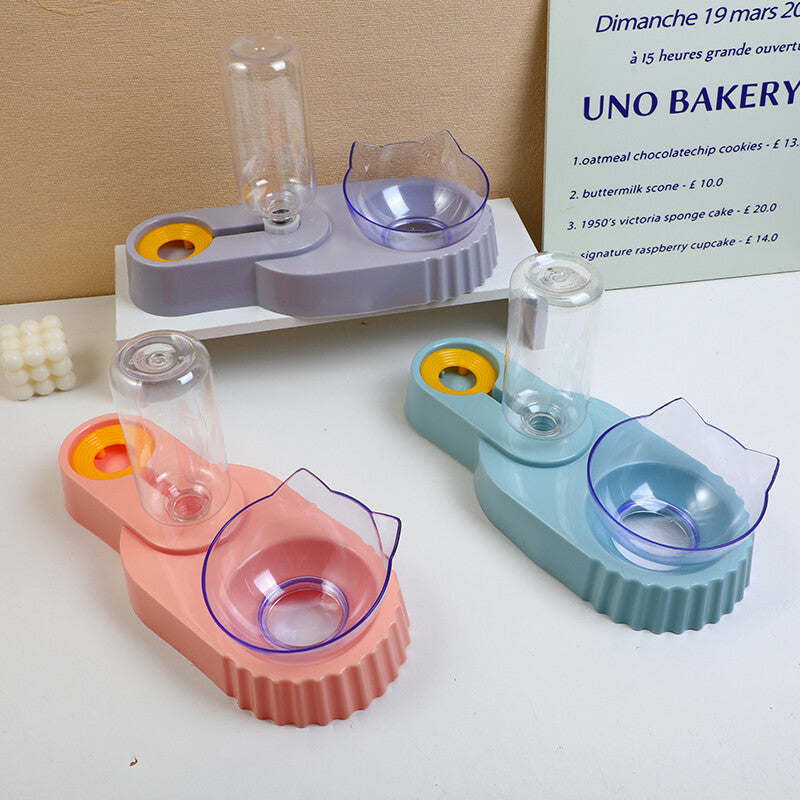 Set di due ciotole per bere a forma di chitarra