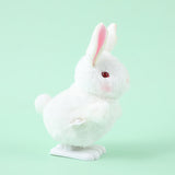 Famiglia di conigli saltatori-Q202