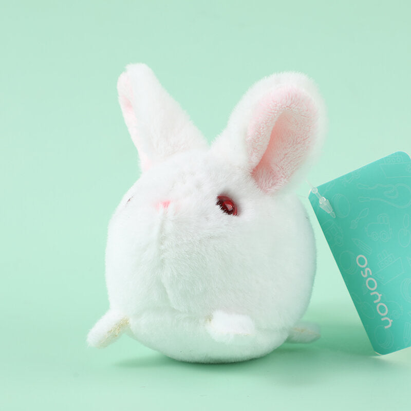 Scodinzola il coniglio-Q214