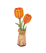 Orange Tulip