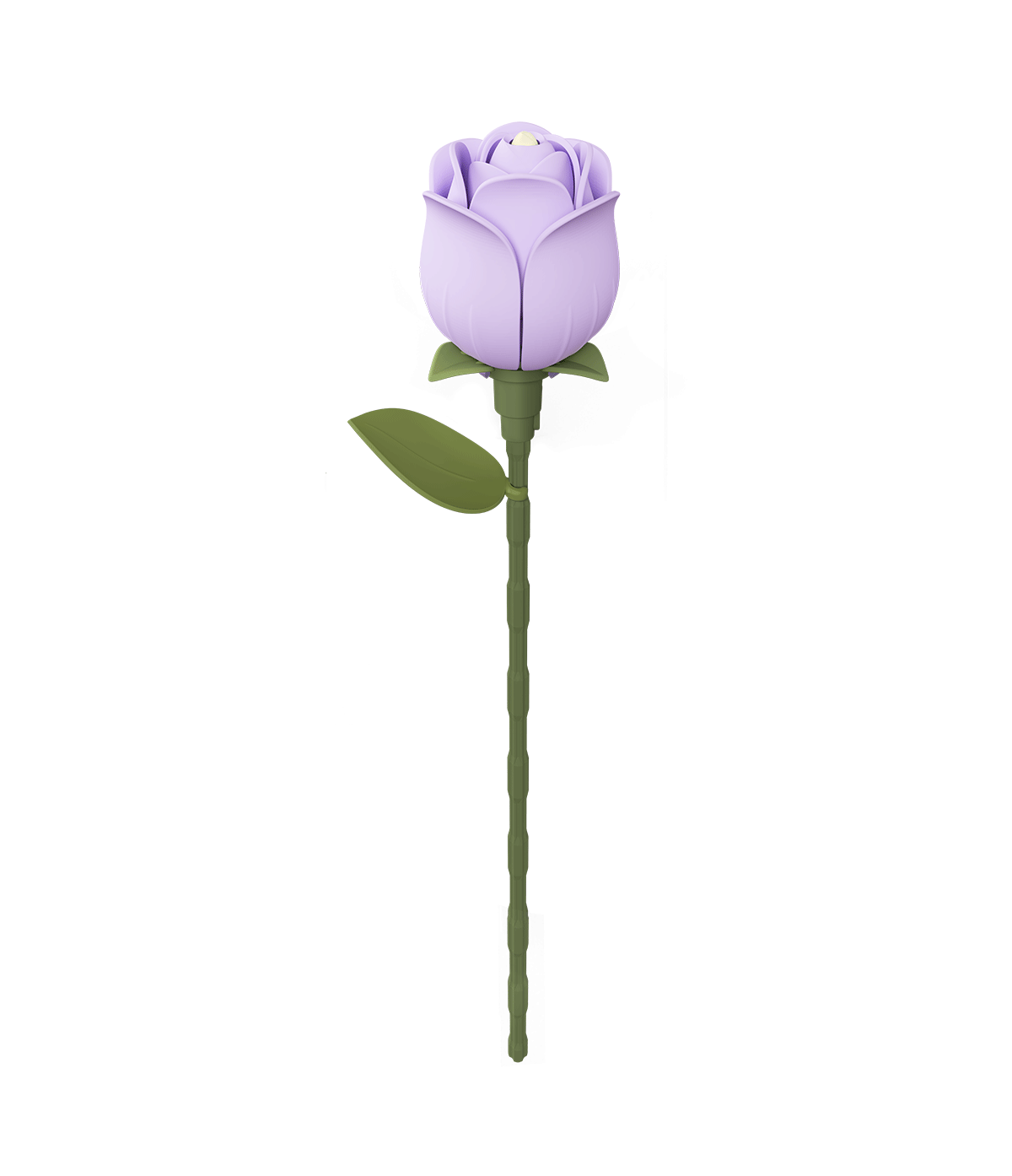 Lavender Rose