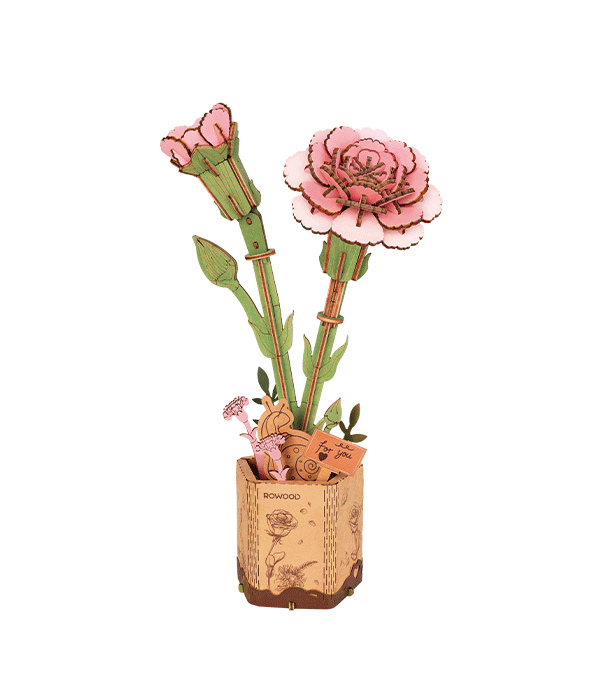 Pink Carnation